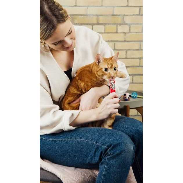 Cat Treats B71625