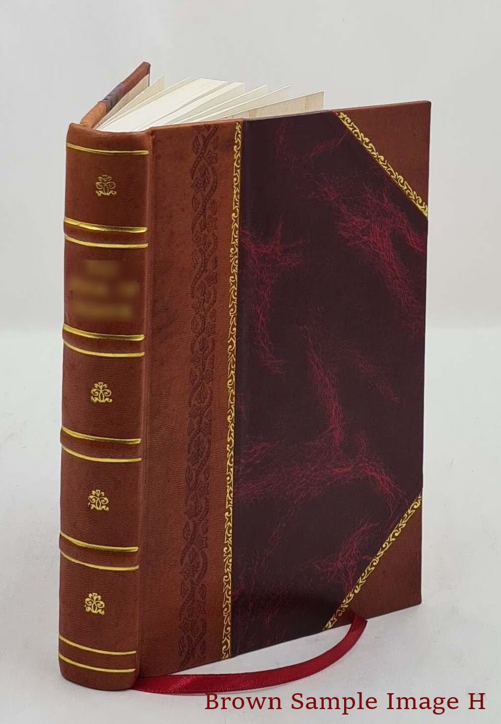 Leather Bound Book D216
