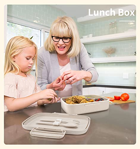 5 Compartment Insulated Bento Lunch Box U9027