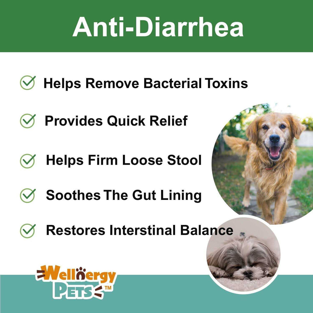 Anti-Diarrhea for Dogs & Cats S3338