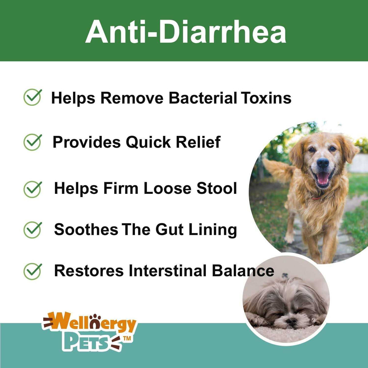 Anti-Diarrhea for Dogs & Cats S3338