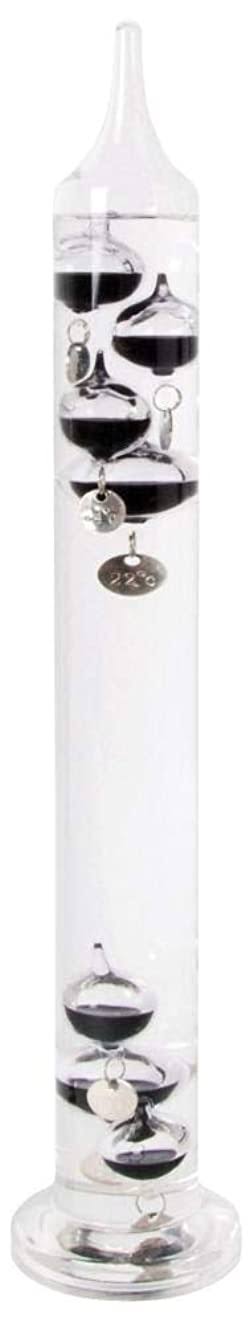Glass Thermometer Y5161