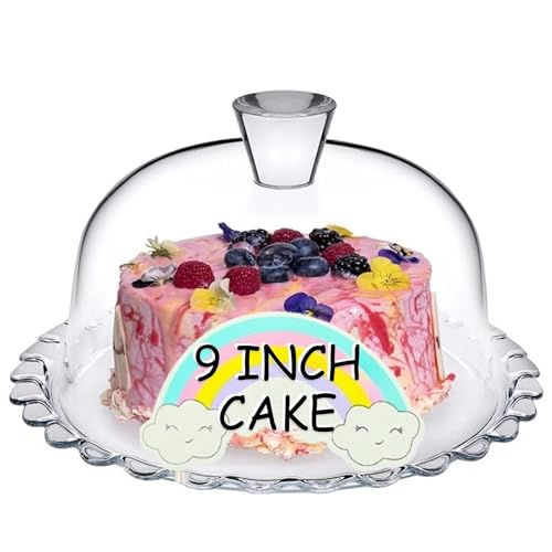 Glass Cake Stand with Dome 10 inch Serving Platter K491884