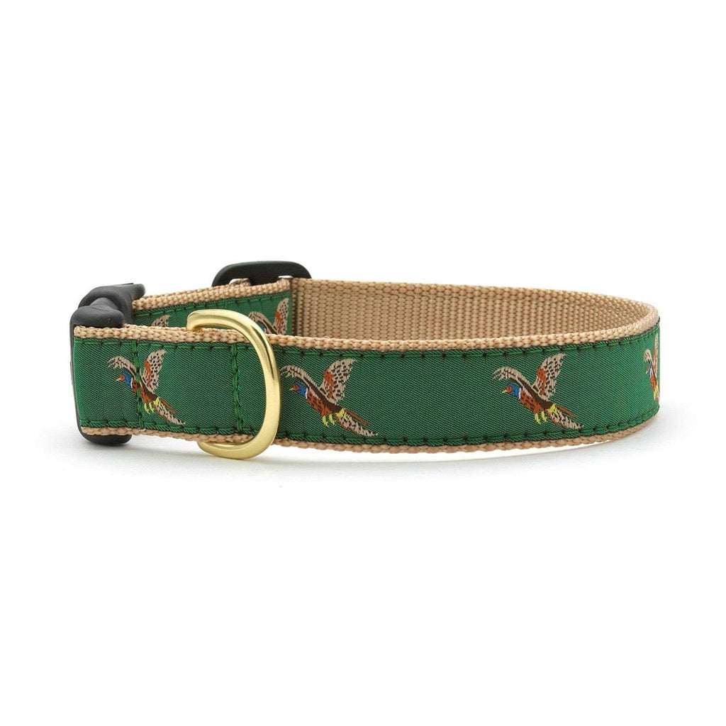 Dog Collar U593341