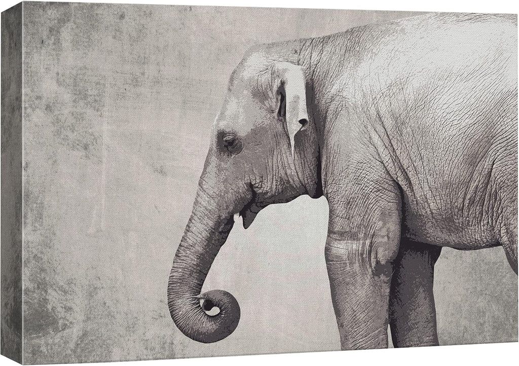 Canvas Print Wall Art Ram Portrait on Graphite Background U799