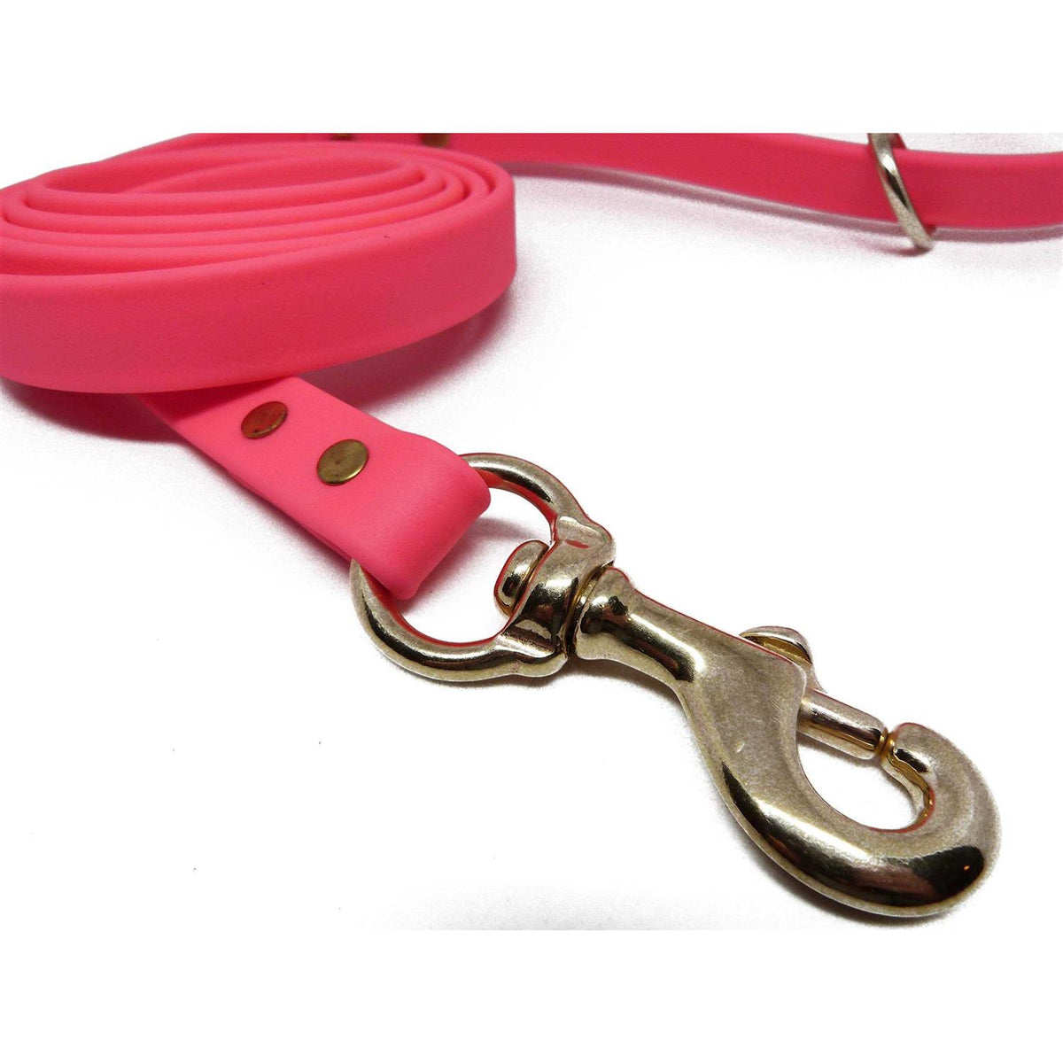 Dog Leash Biothane Dog Training Leash K155