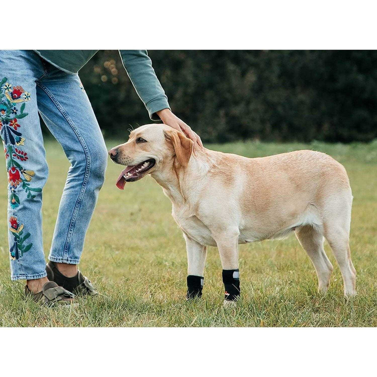 3-in-1 Dog Front Leg Support Brace Z774371