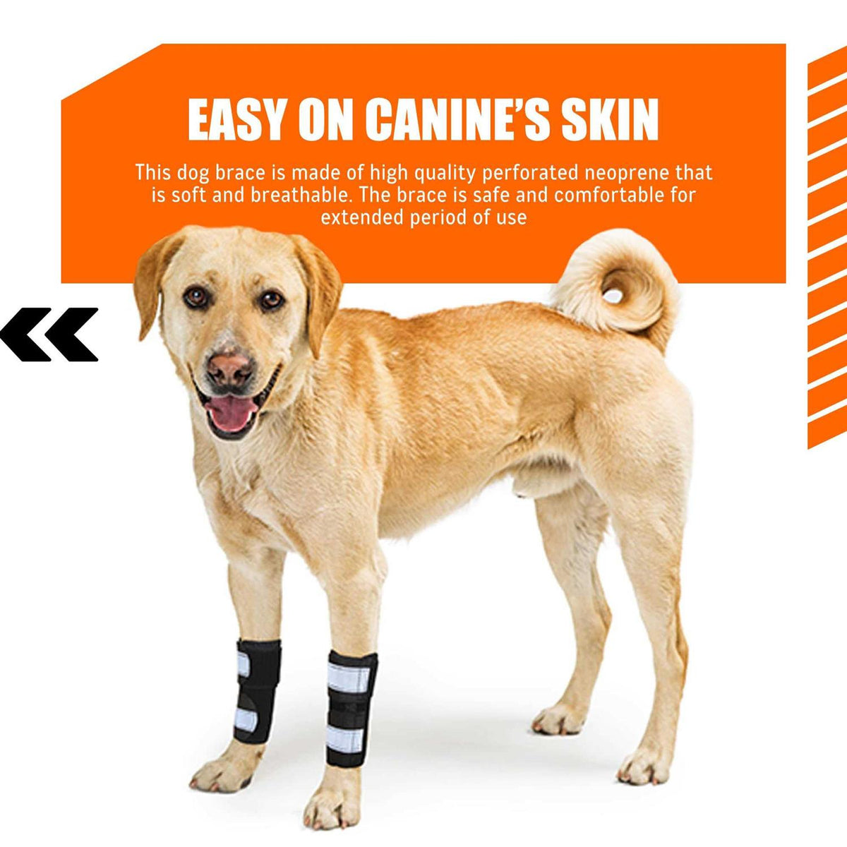 3-in-1 Dog Front Leg Support Brace Z774371