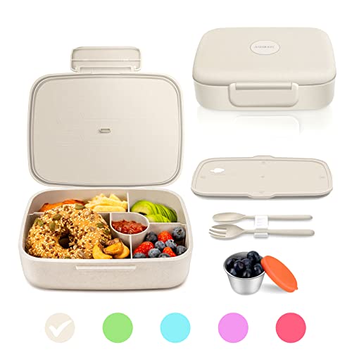 5 Compartment Insulated Bento Lunch Box U9027