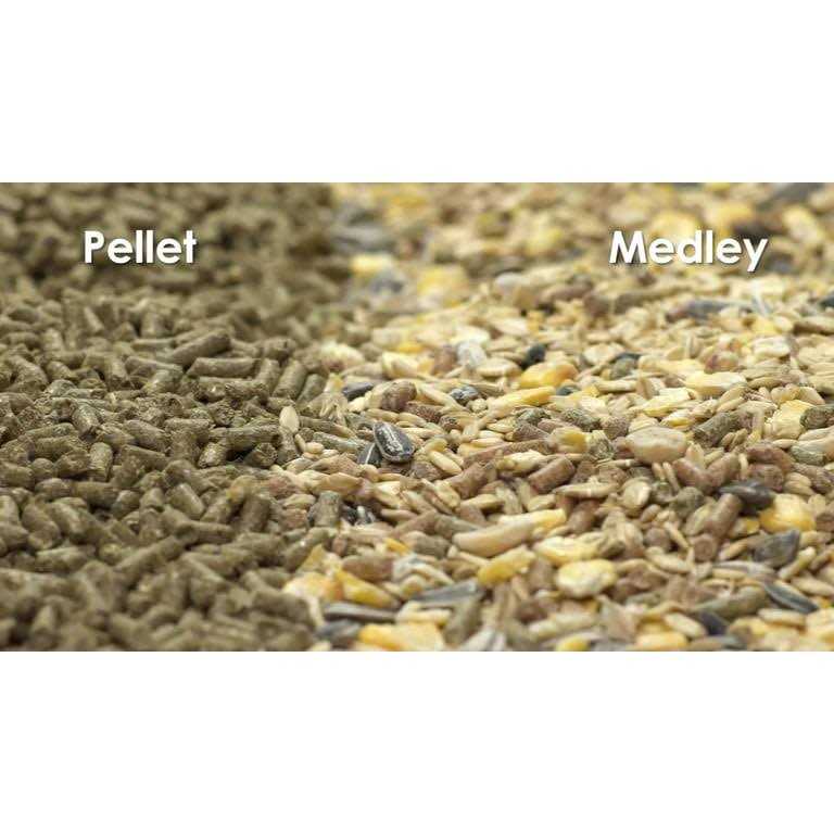Hamster Gerbil Food U68829