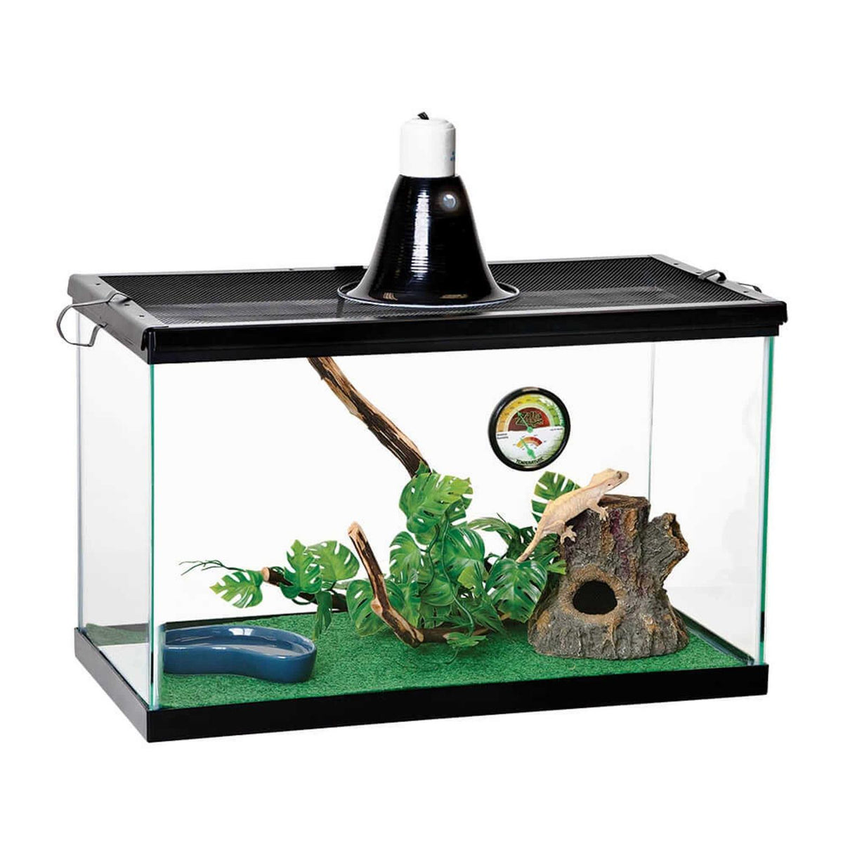 Green Terrarium Liner Z21750
