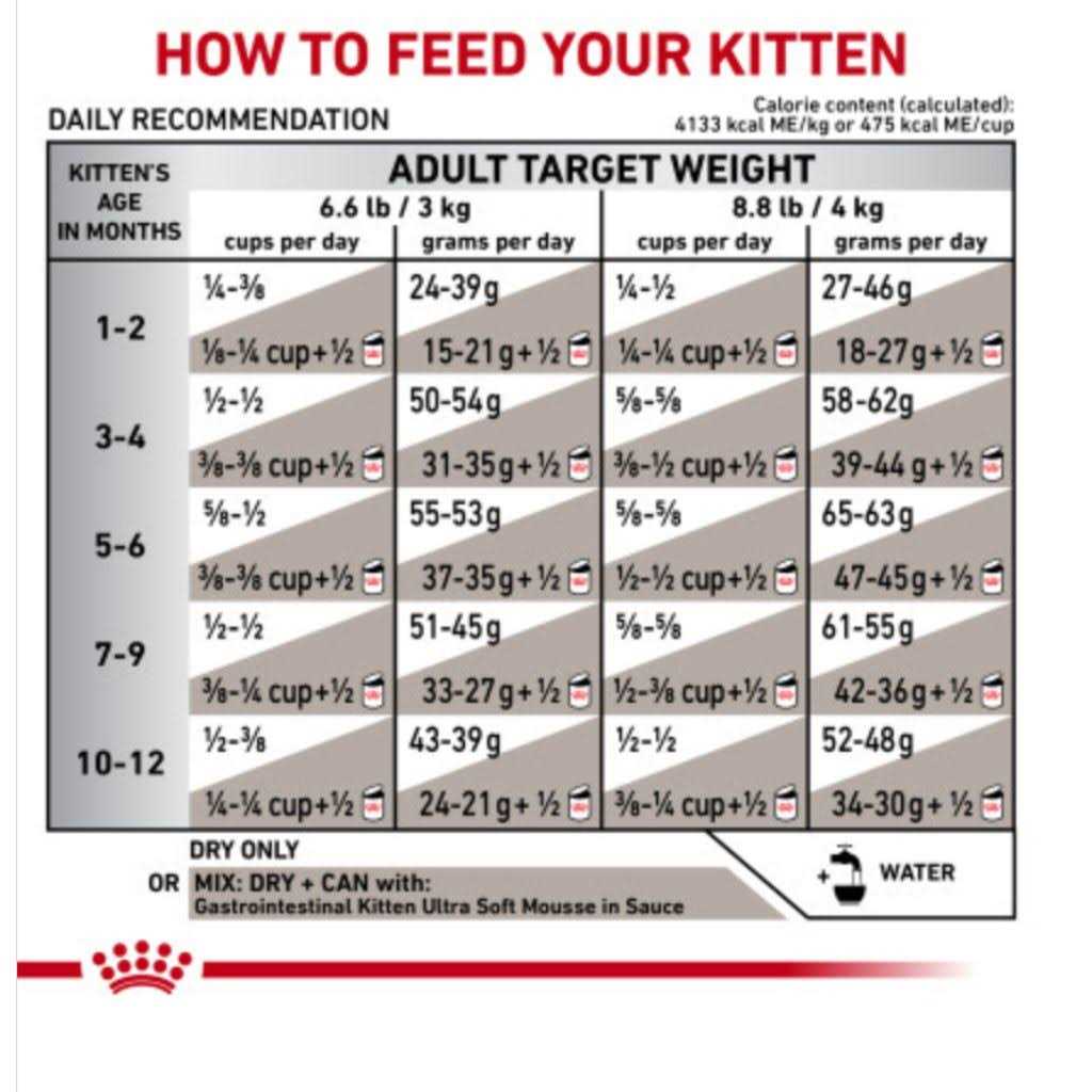 Kitten Dry Cat Food E579