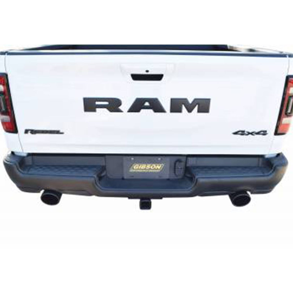 Cat-Back Dual Split Exhaust System V603