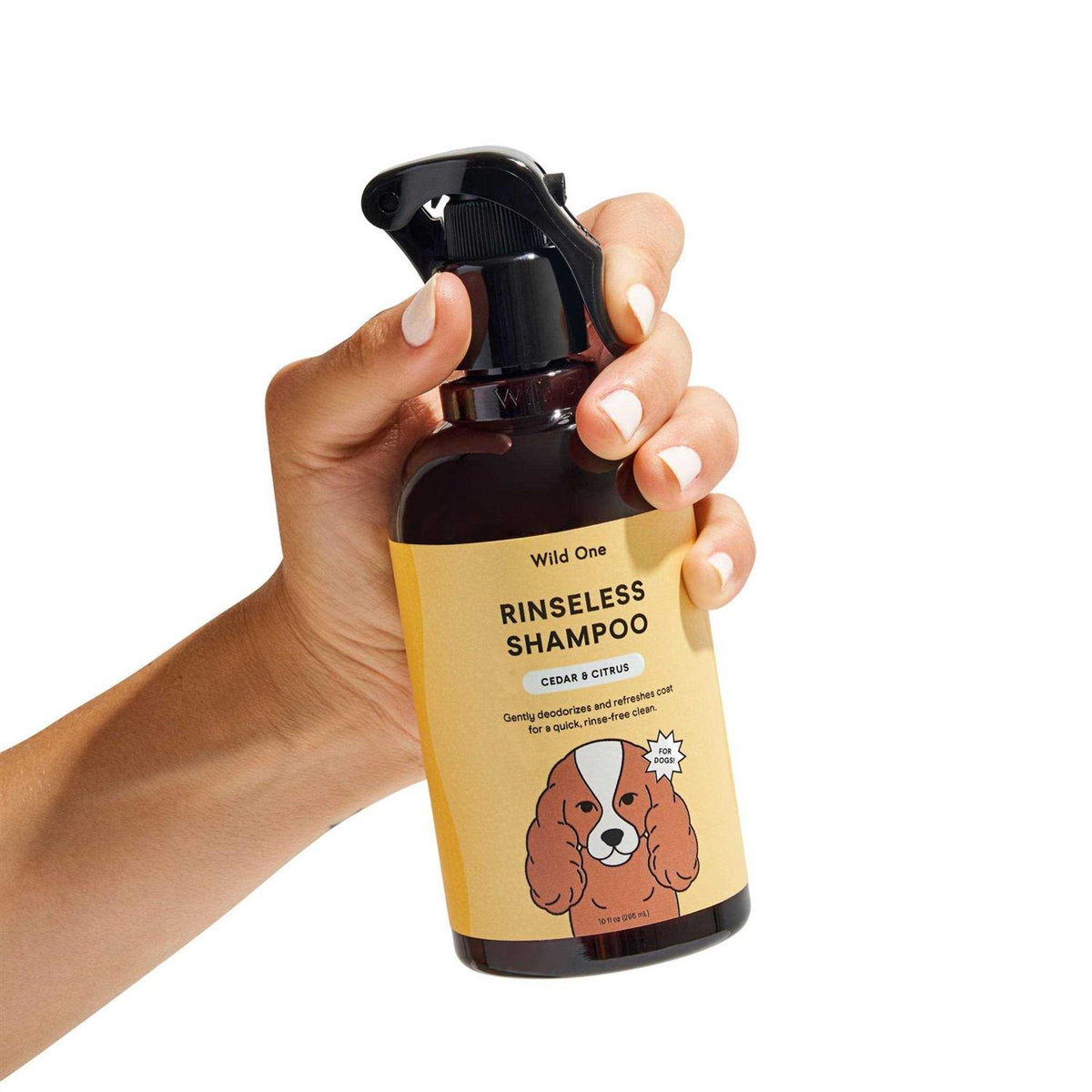 Rinseless Shampoo B259288