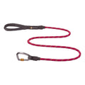 Leash T565201