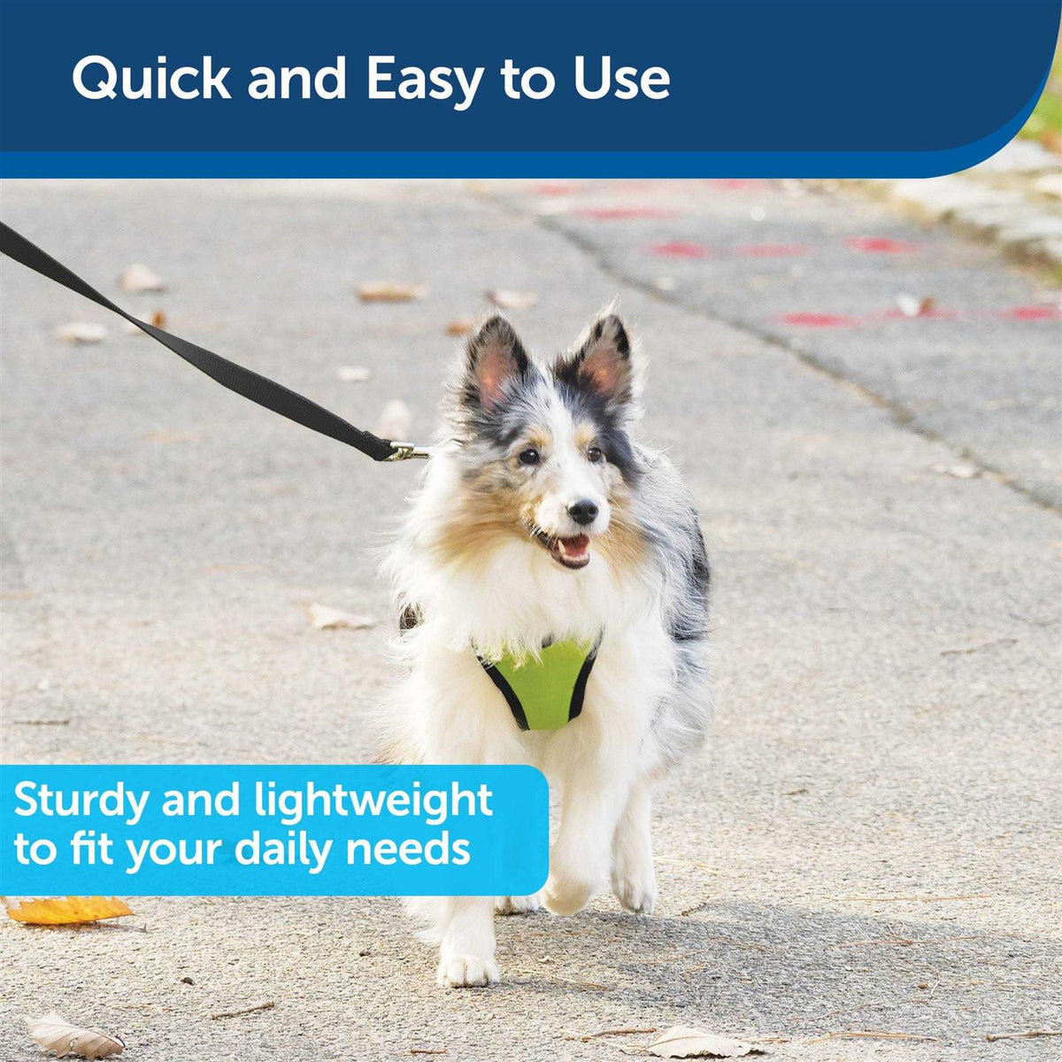 Nylon Dog Leash U8581