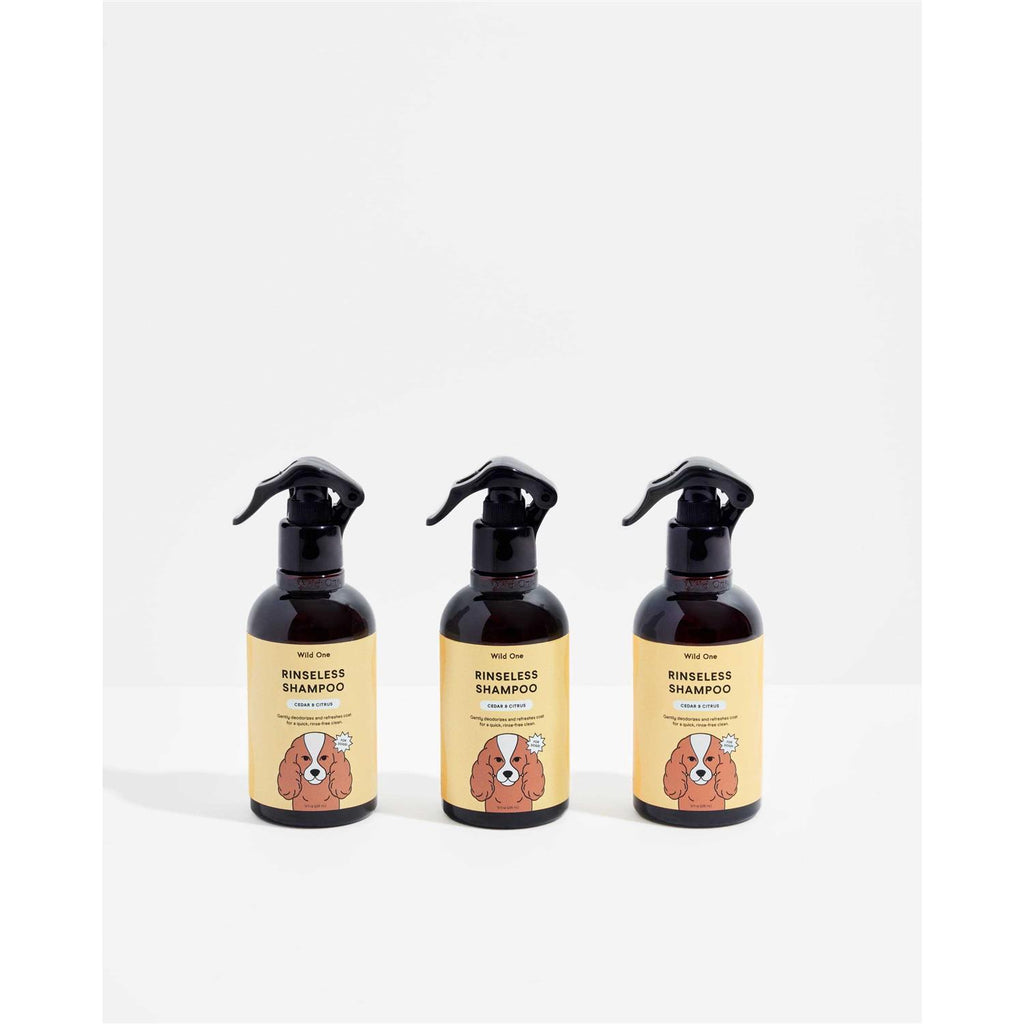 Rinseless Shampoo B259288