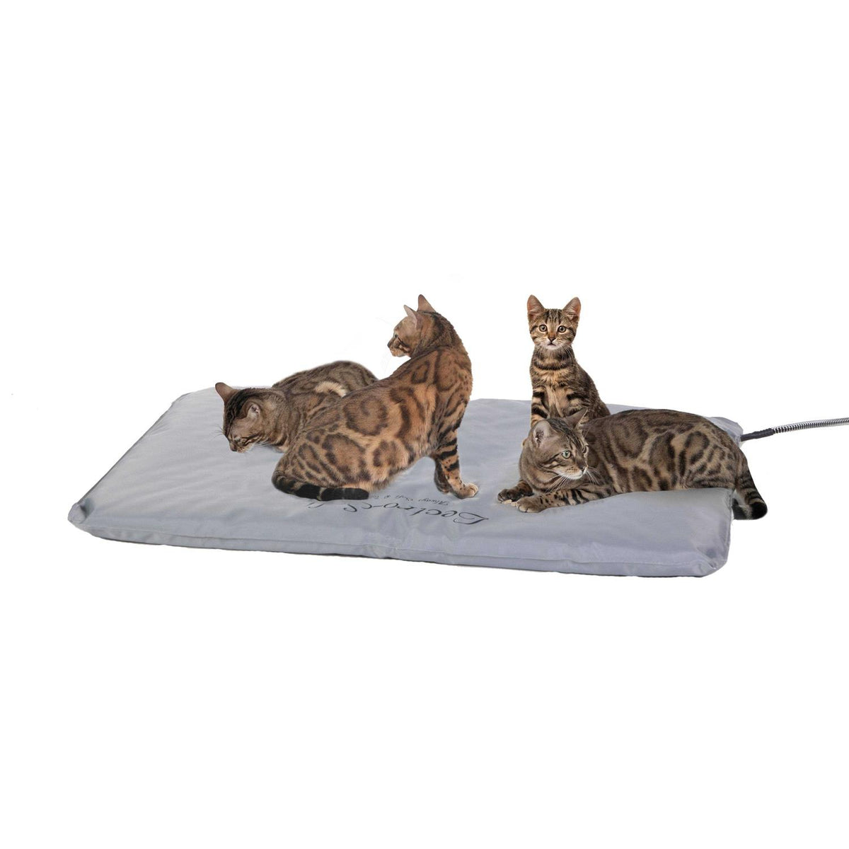 Outdoor Heated Pet Bed Q76881
