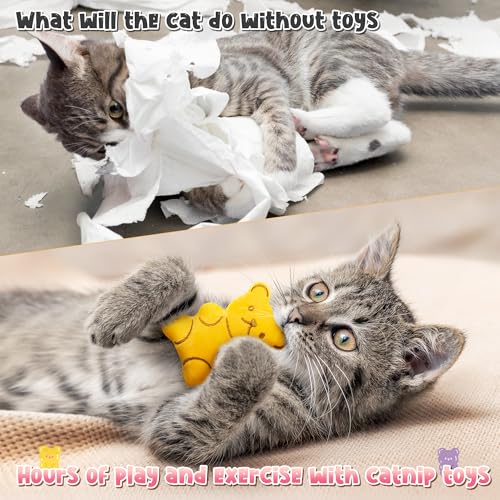 5Pcs Catnip Cat Toys Z98561