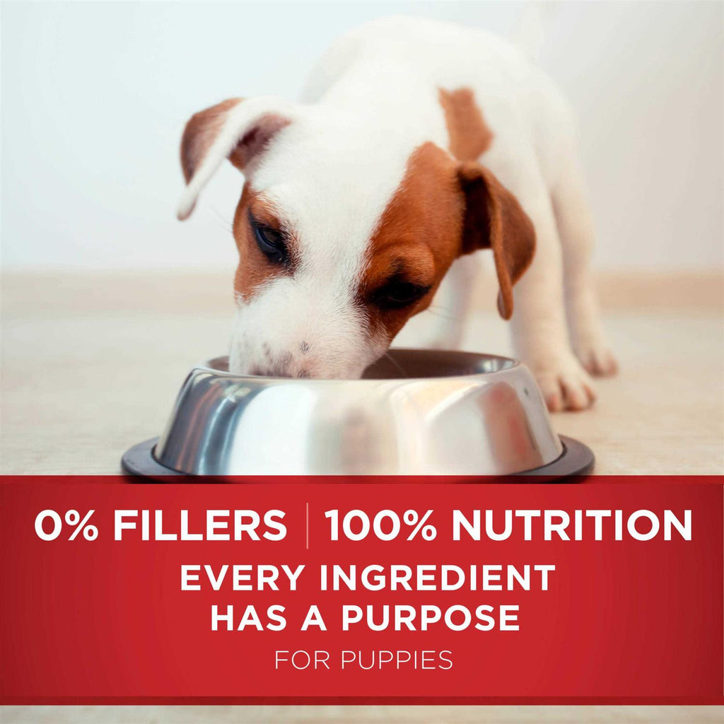 Dry Dog Food T74576