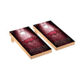 2 x 4 Metal Cornhole Board Set P453606