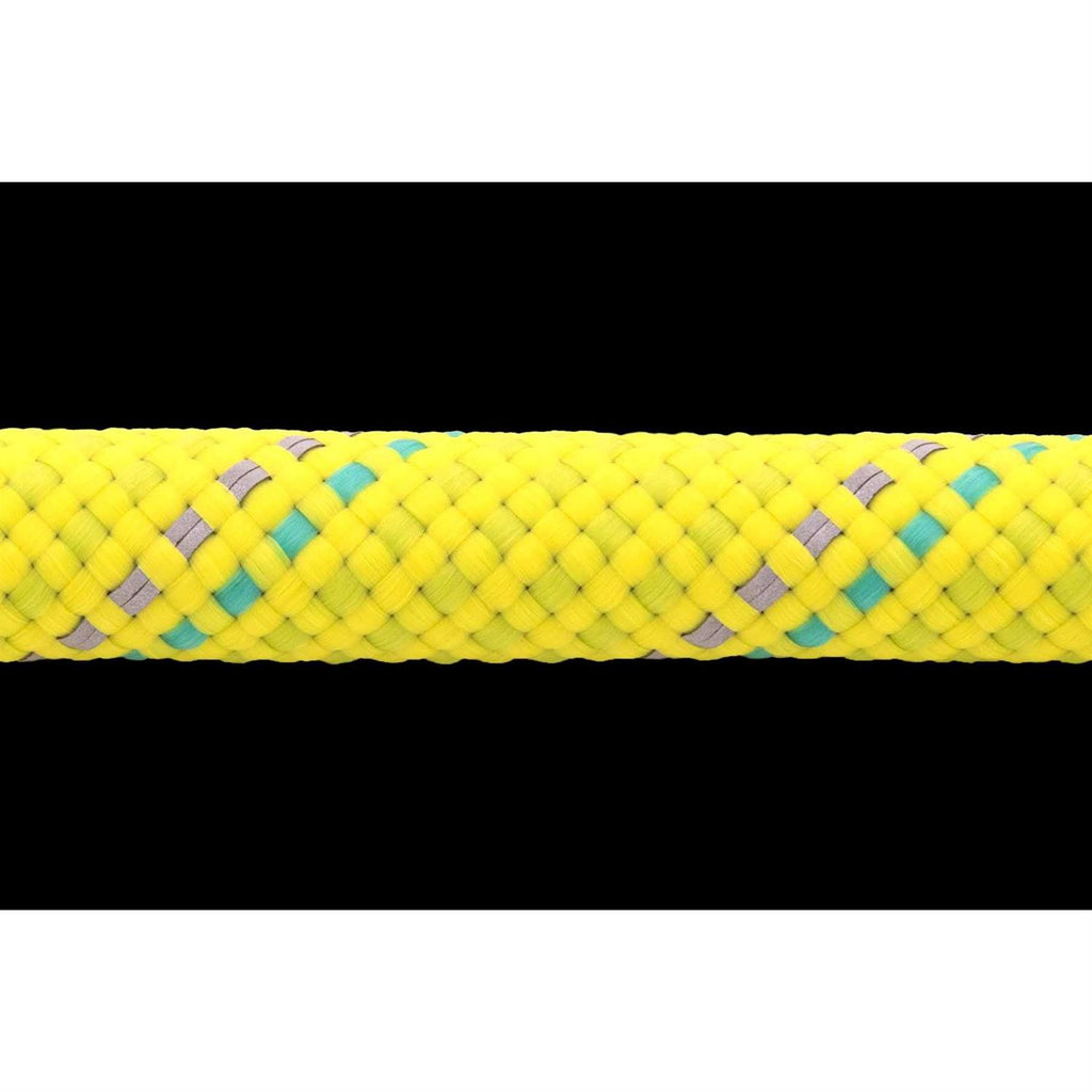 Leash T565201