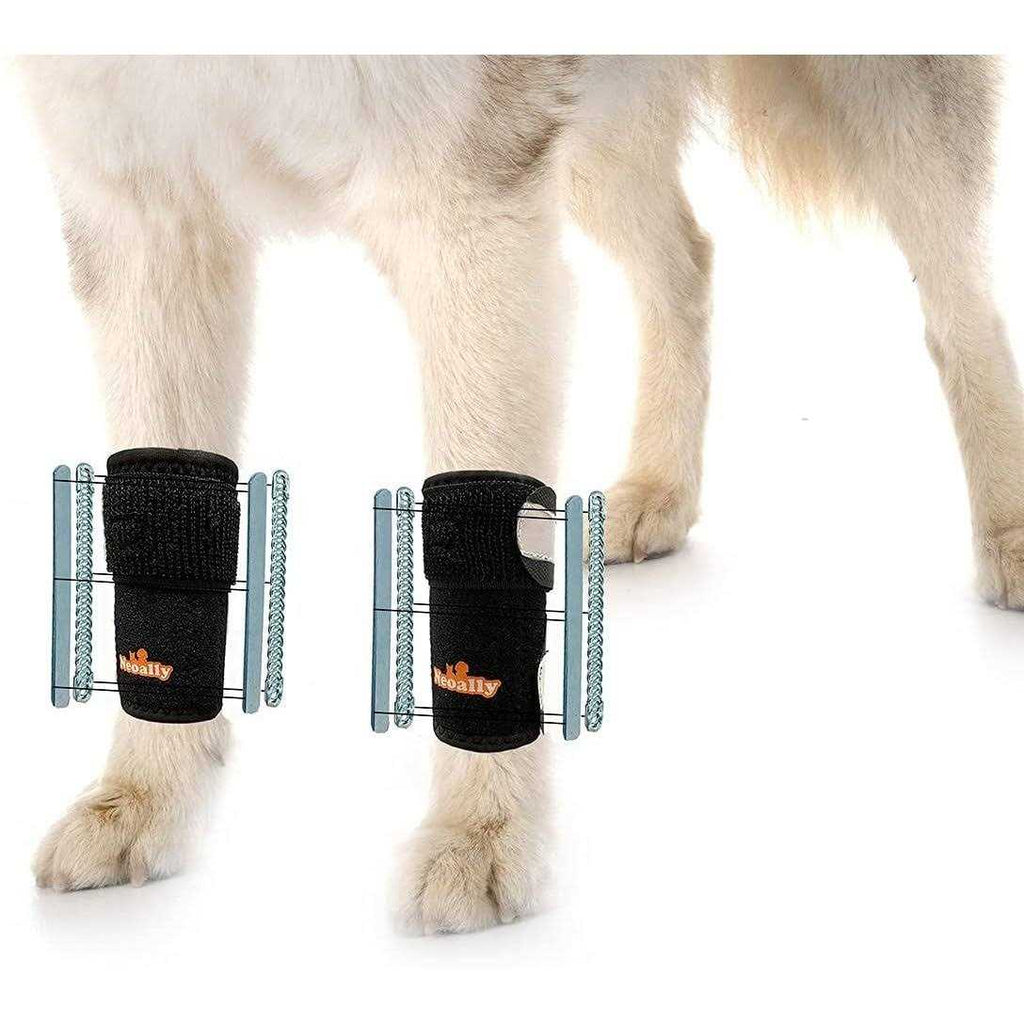 3-in-1 Dog Front Leg Support Brace Z774371