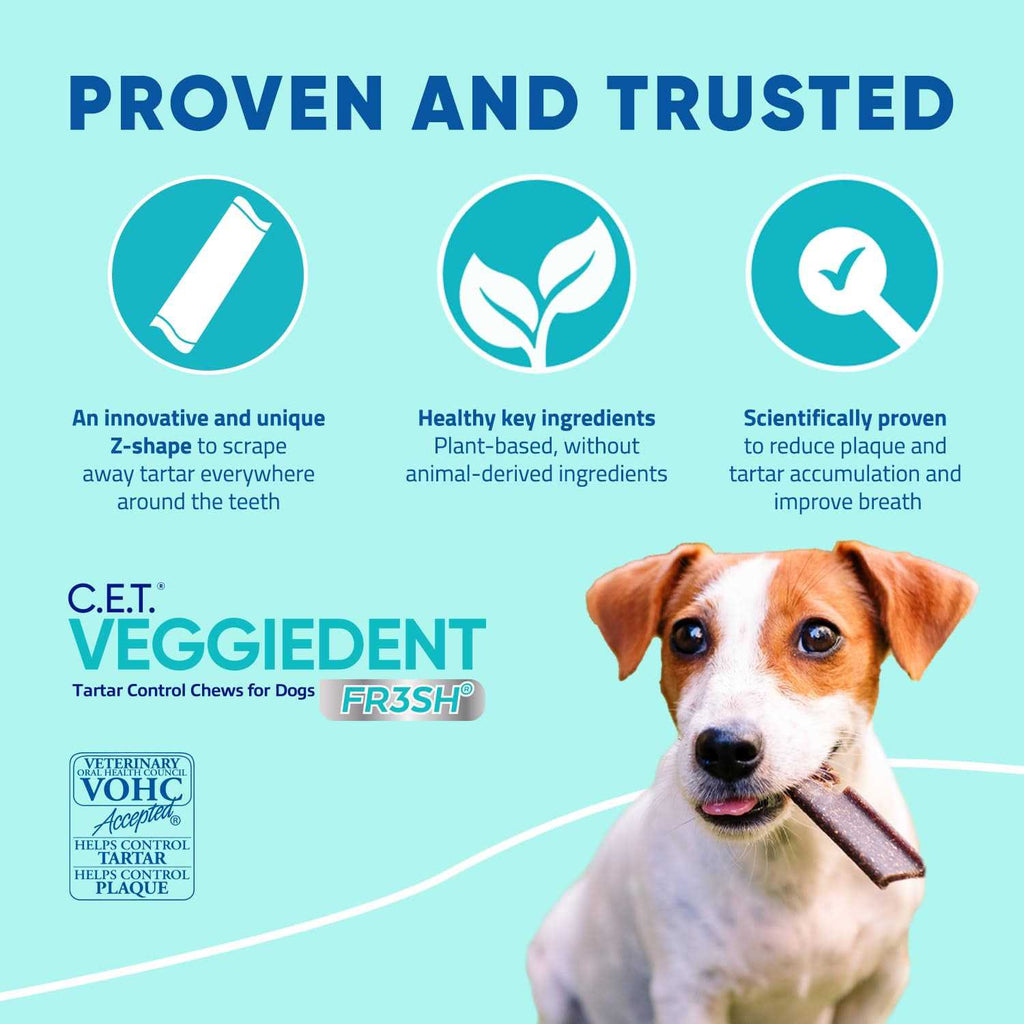 VeggieDent Tartar Control Chews for Dogs H61146