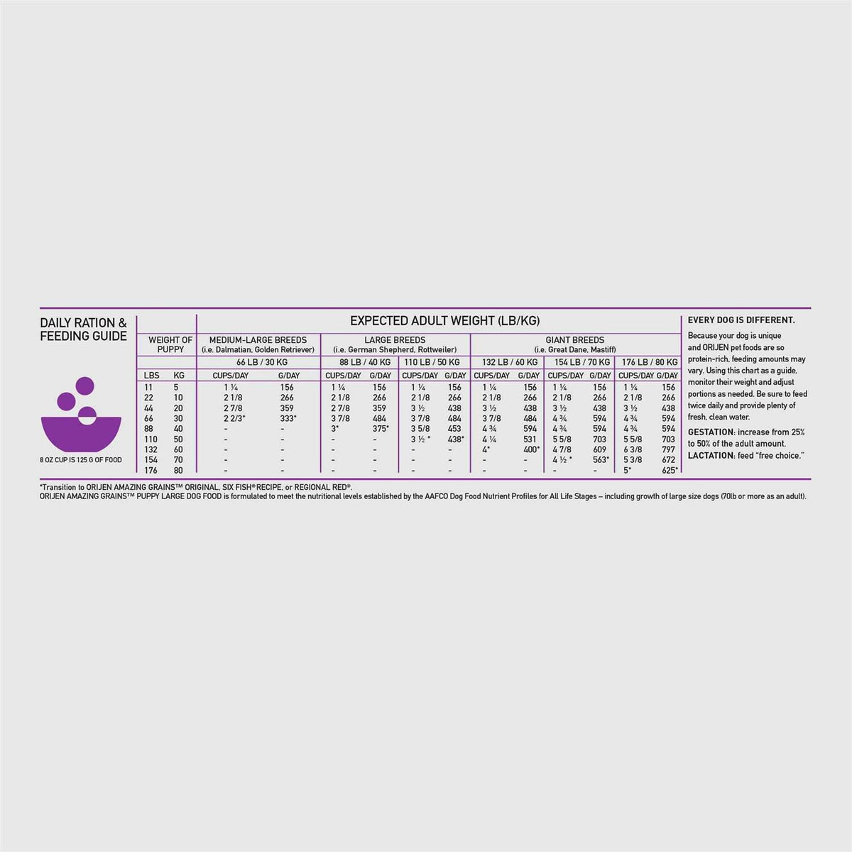 Large Breed Puppy Dry Dog Food G494425