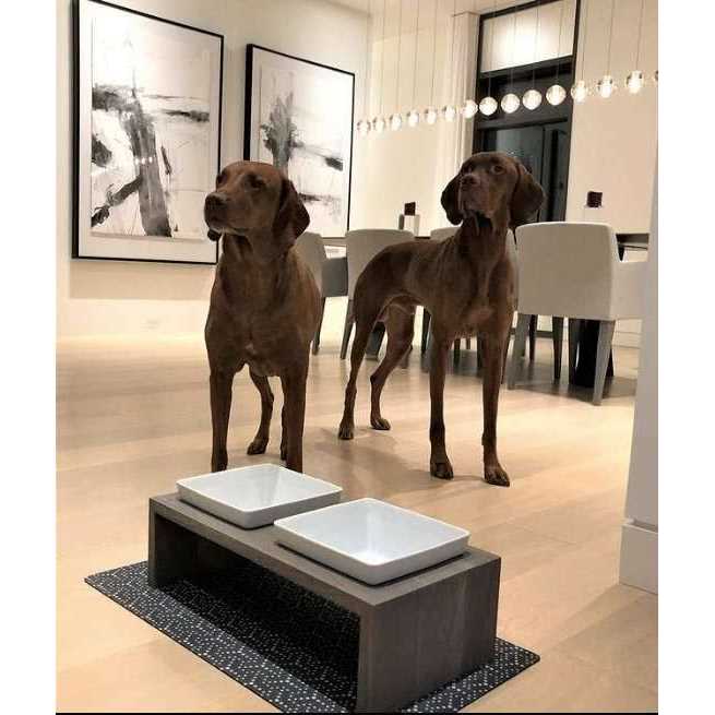 Double Dog Feeder O398387