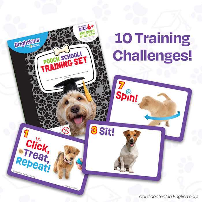 Training Set Q741