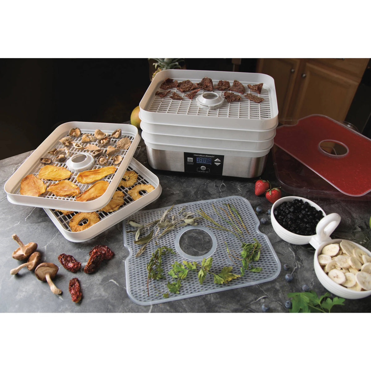 5 Shelf Digital Food Dehydrator I964