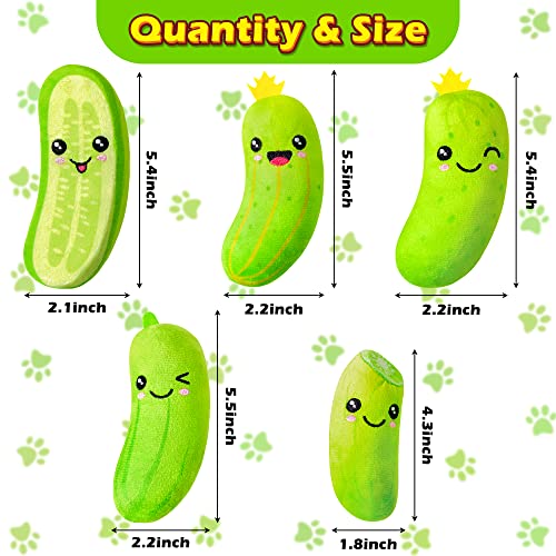 5Pcs Catnip Cat Toys Z98561