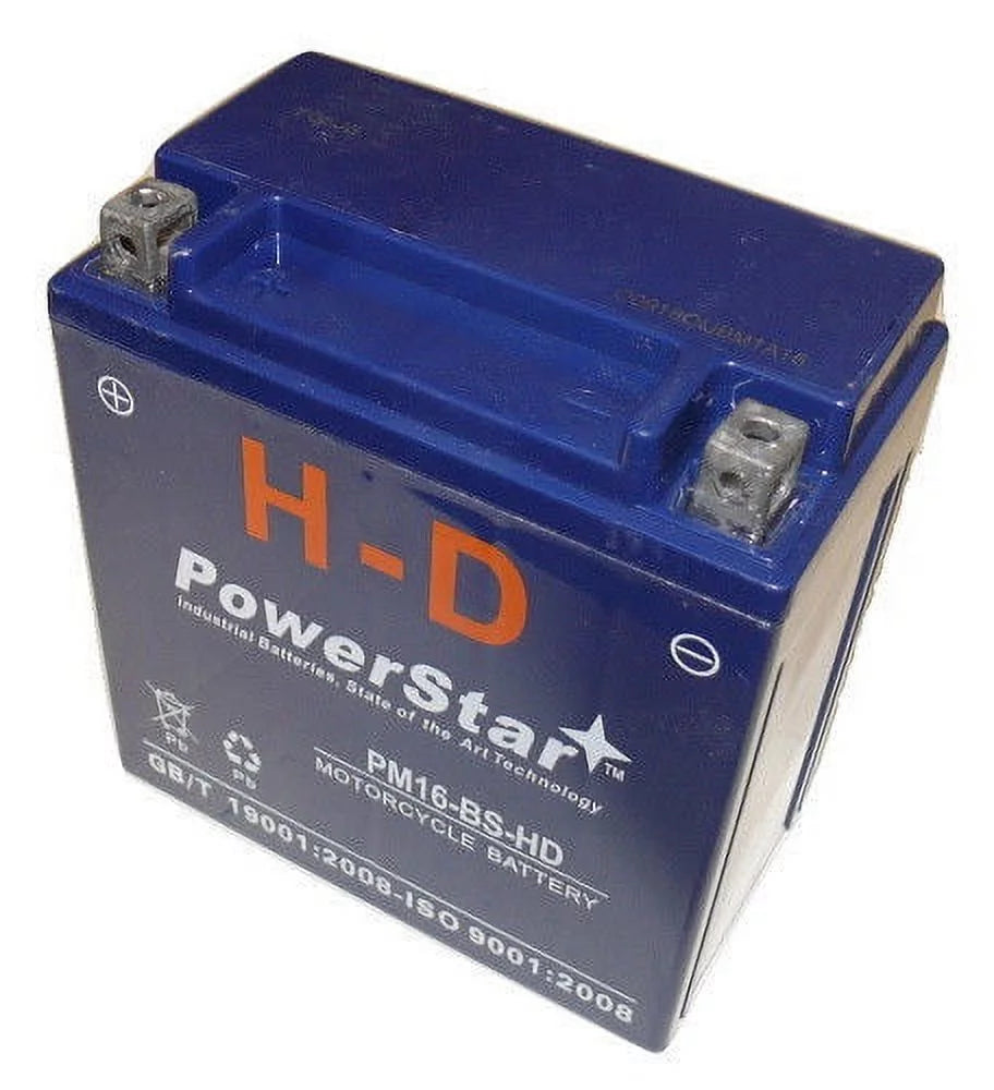 Motorcycle Battery Q47010