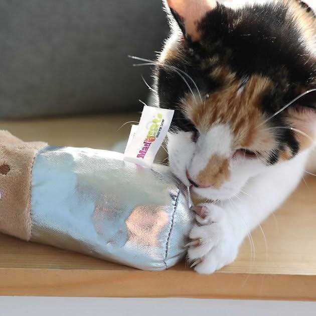 Cat Toy F19973