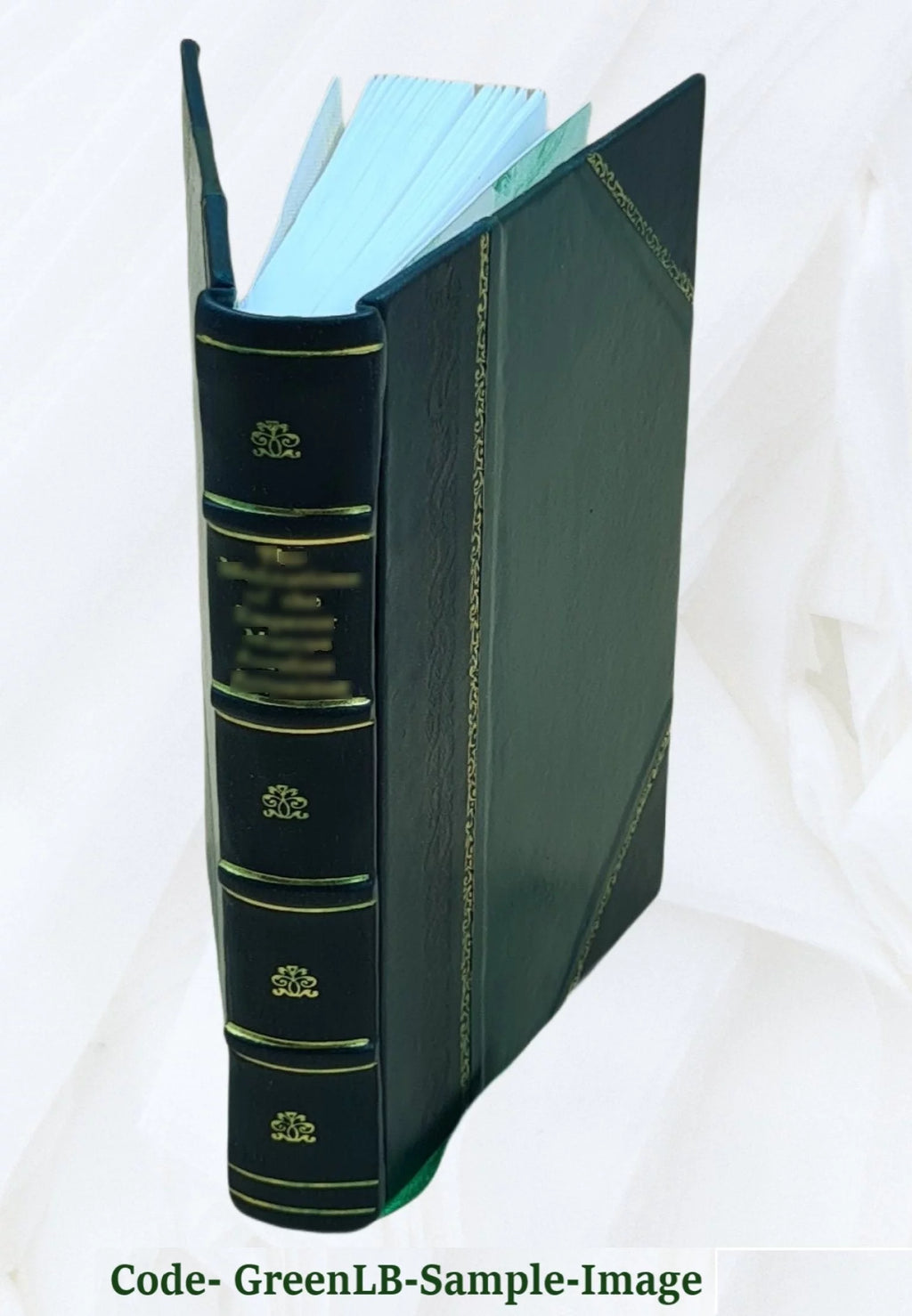Leather Bound R856