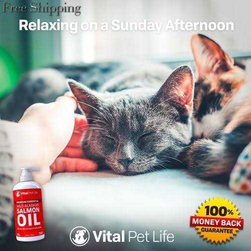 Salmon Oil for Dogs & Cats A750
