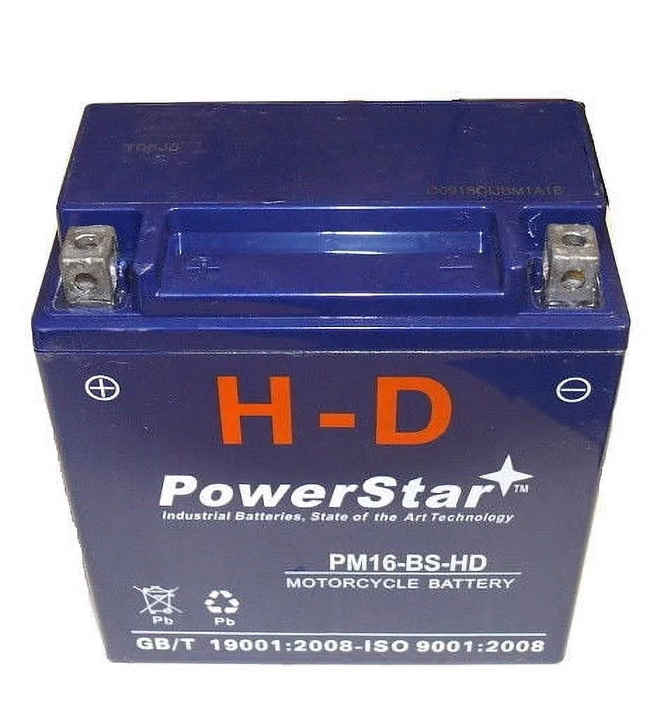 Motorcycle Battery Q47010