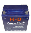Motorcycle Battery Q47010