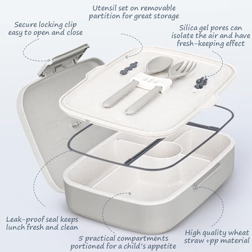 5 Compartment Insulated Bento Lunch Box U9027