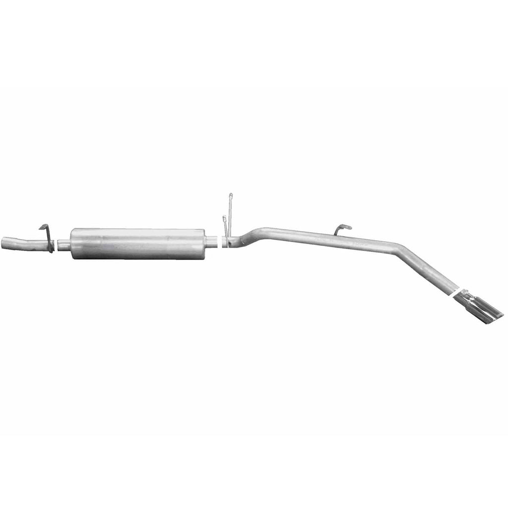 Cat-Back Dual Split Exhaust System V603