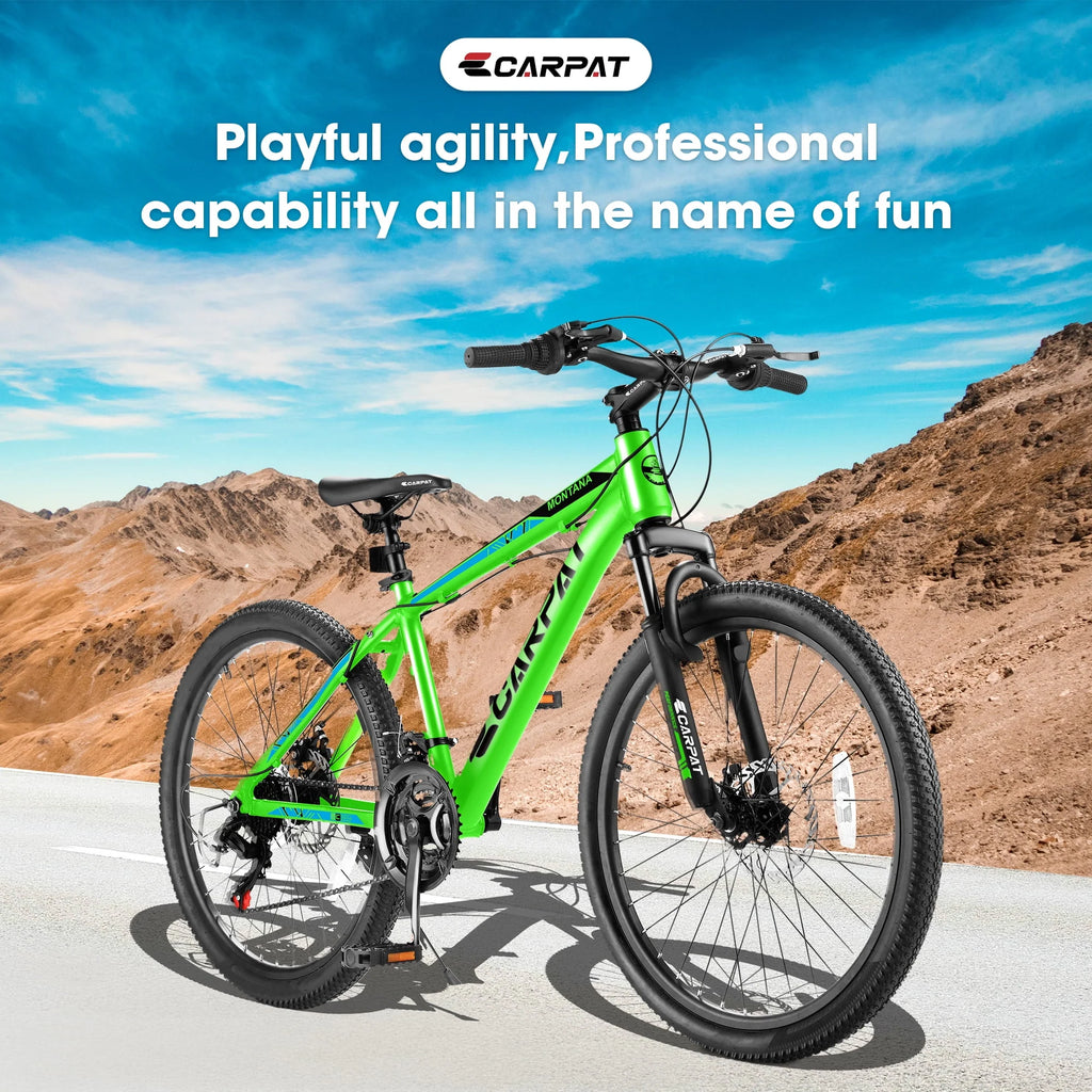 24 inch 21-Speed Mountain Bike with Disc Brake Q4530